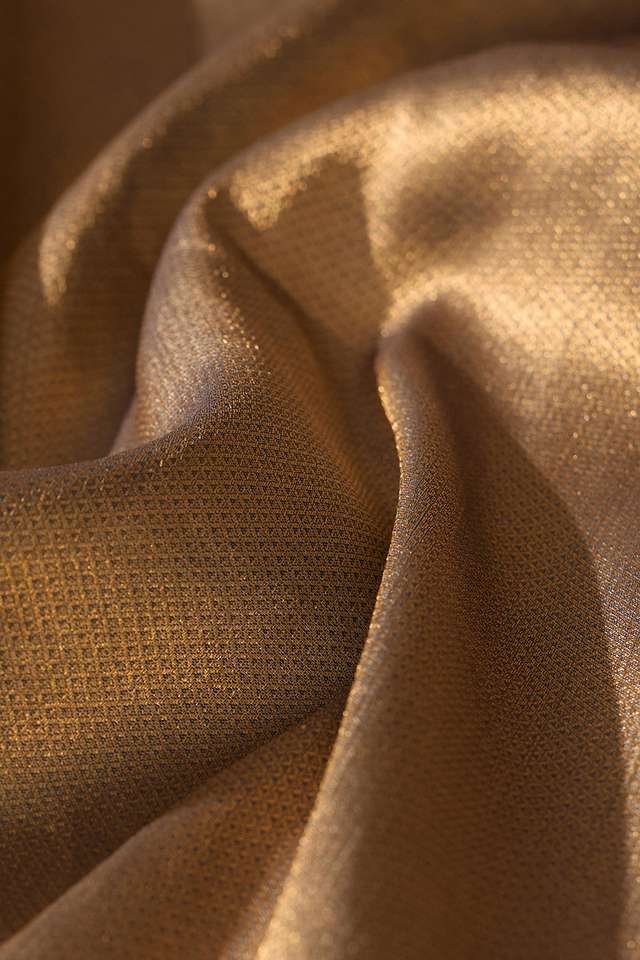 Light Blue Woven Kanjivaram Inspired Design Silk Viscose Saree thumbnail image number null