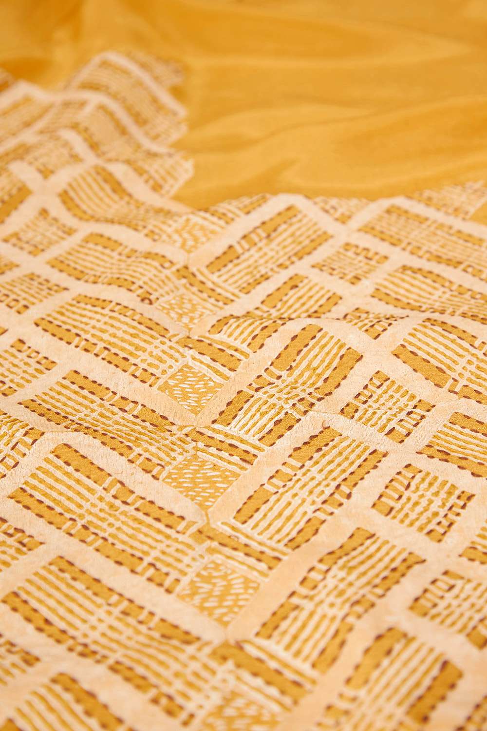 Yellow Pure Tissue Organza Printed Embroidery Saree image number null