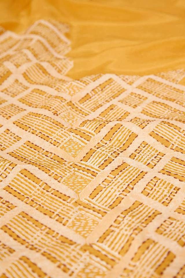 Yellow Pure Tissue Organza Printed Embroidery Saree thumbnail image number null