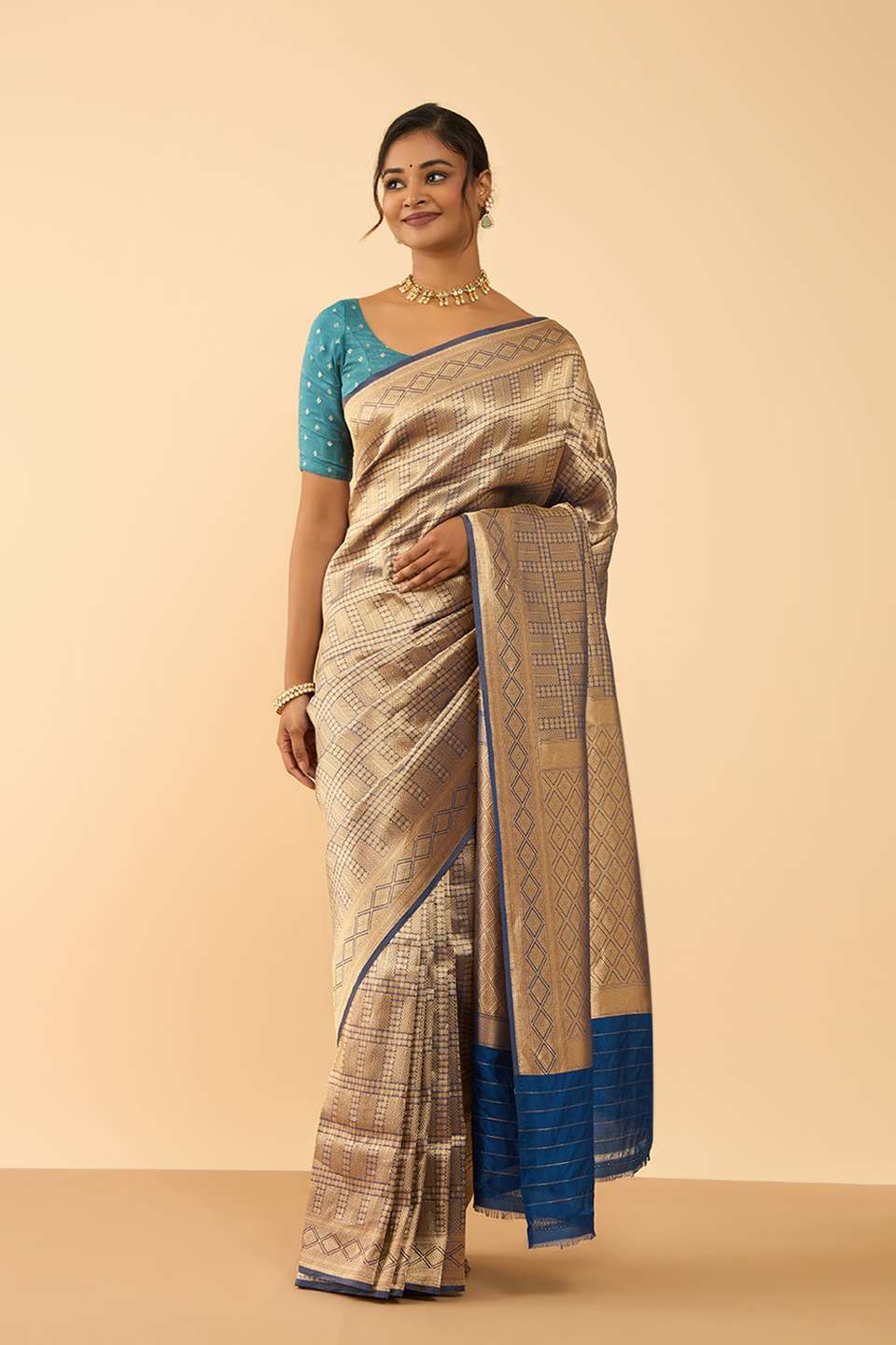 Blue Pure Silk Tissue Brocade Banarasi Saree