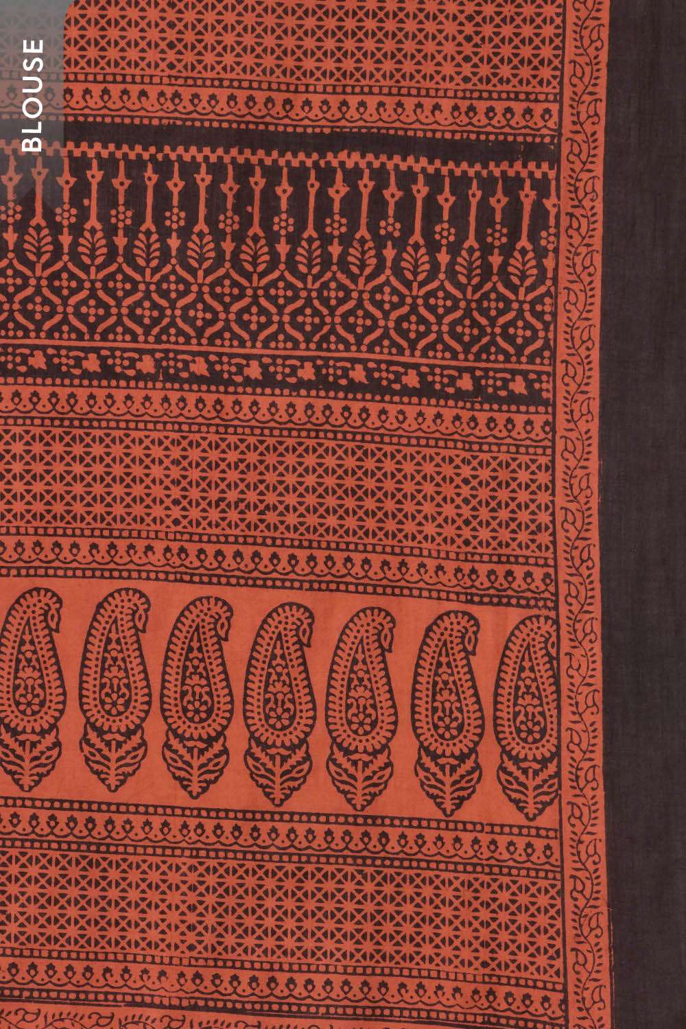 Dark Orange Bagh Block Printed Pure Cotton Saree image number null