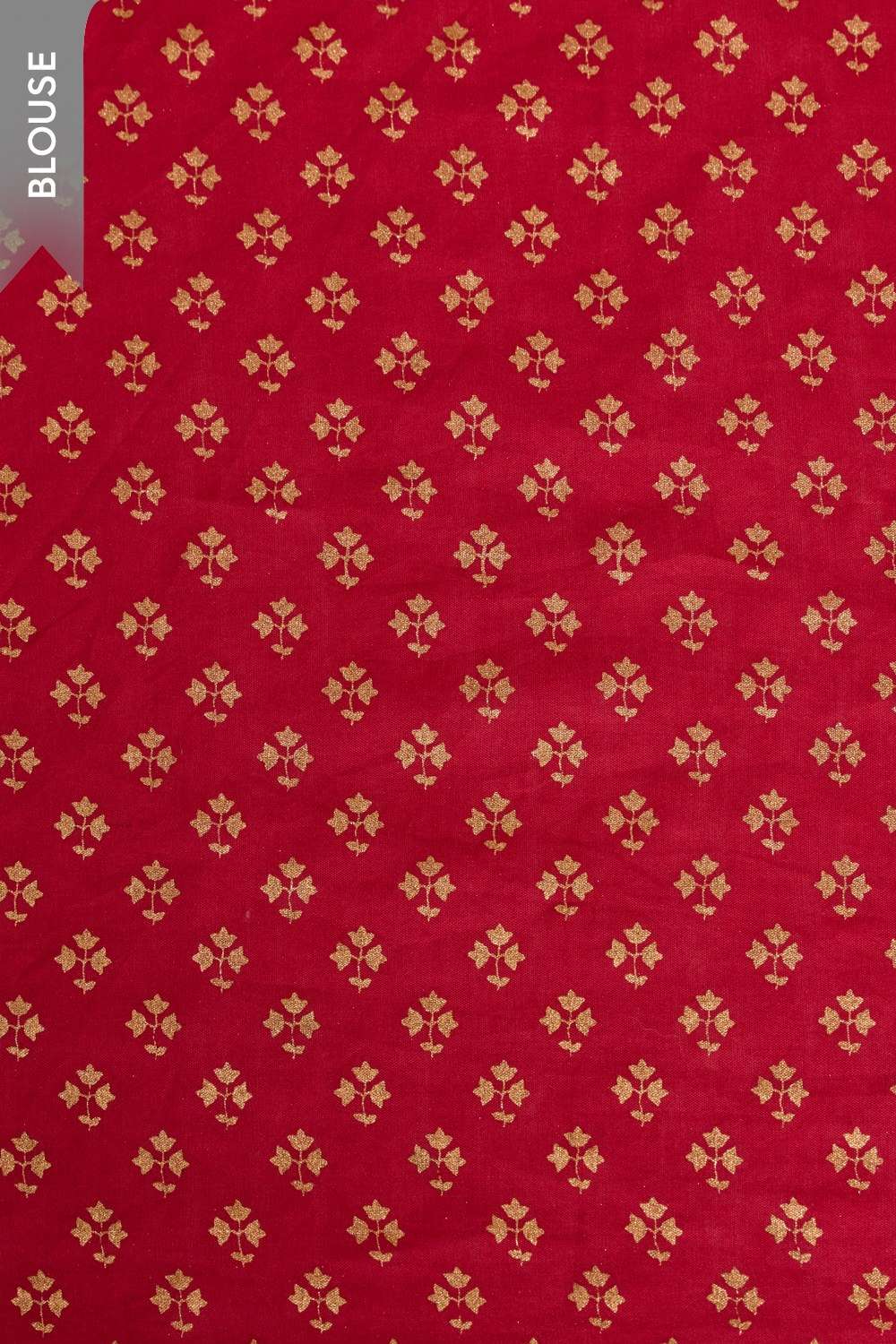 Off White  Screen Printed  Pure Silk Cotton Saree image number null