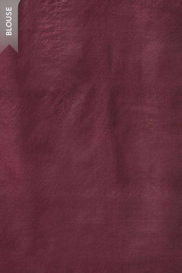 Light Red Pure Tussar Silk Printed Embroidery Saree thumbnail image number null