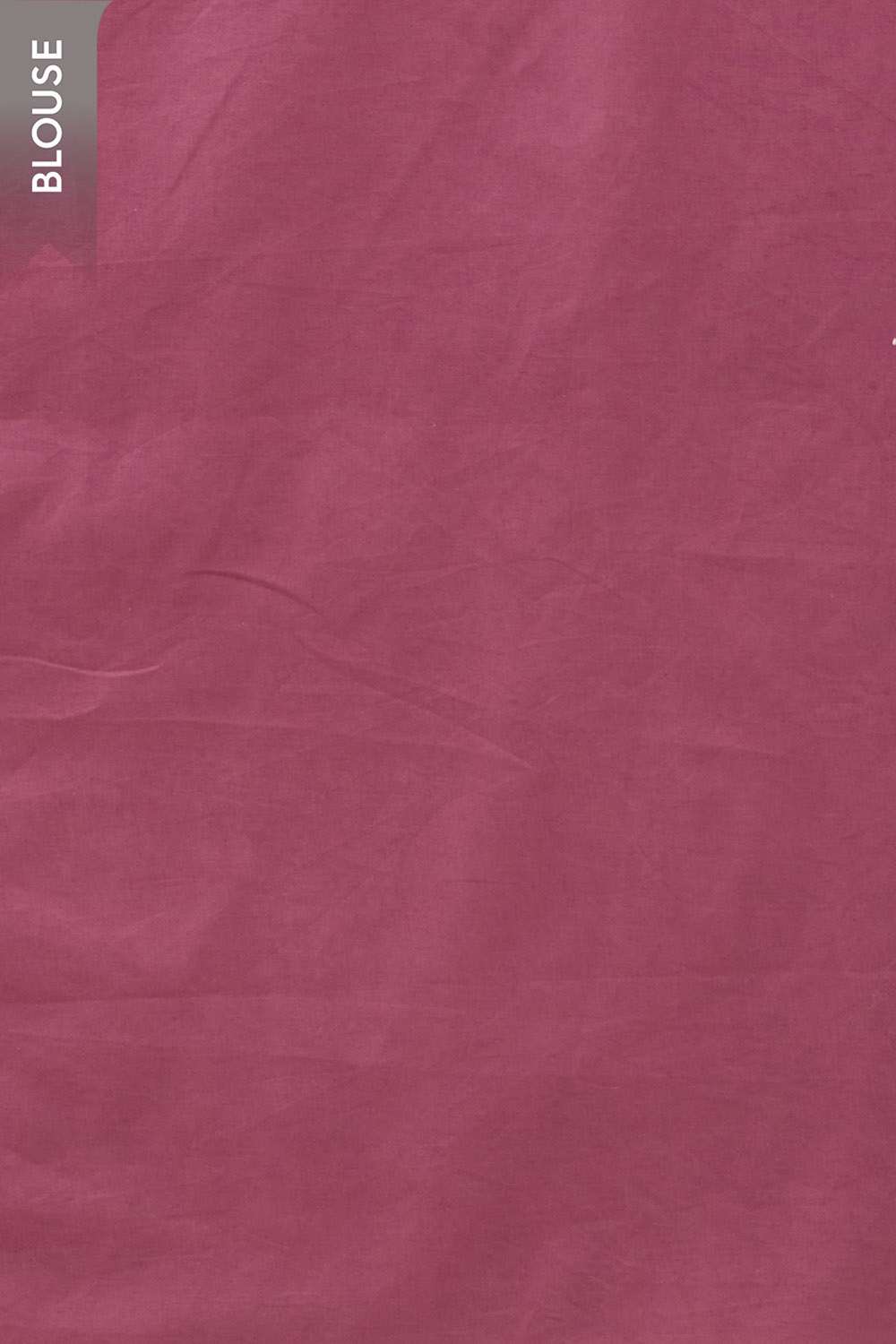 Beige Bengal Pure Kota Hand Painted Saree image number null