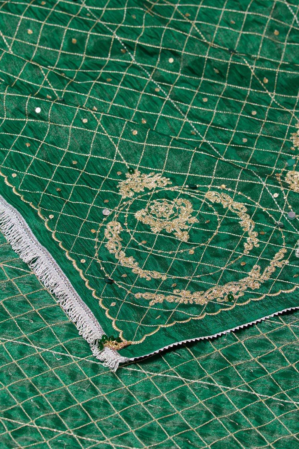Green Viscose Tissue Embroidered Saree image number null