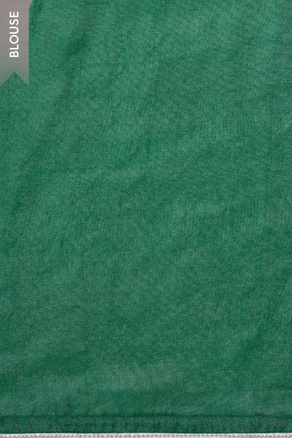 Green Viscose Tissue Embroidered Saree image number null