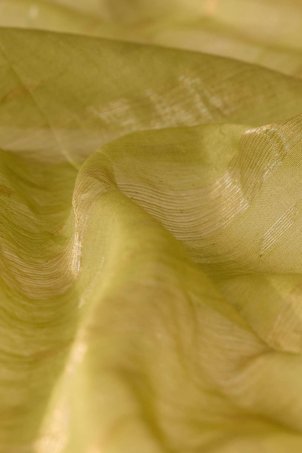 Light Green Bengal Pure Silk Cotton Jamdani Saree image number null