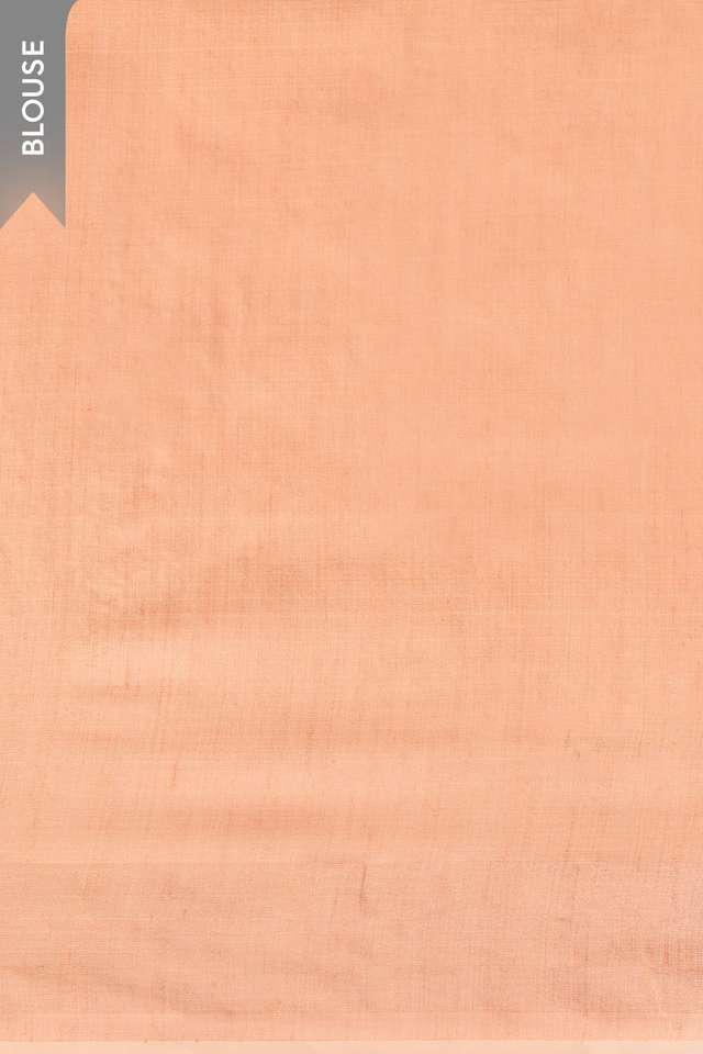 Light Pink Chattisgarh Woven Pure Tussar Silk Saree thumbnail image number null