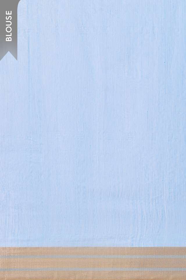 Light Blue Eknaliya Pure Silk Cotton Chanderi Saree thumbnail image number null