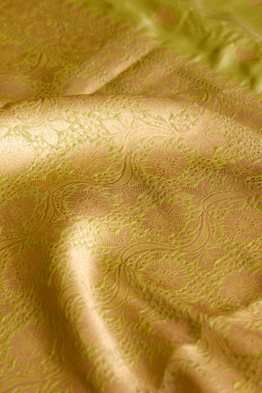 Light Green Silk Viscose Cutwork Banarasi Saree image number null