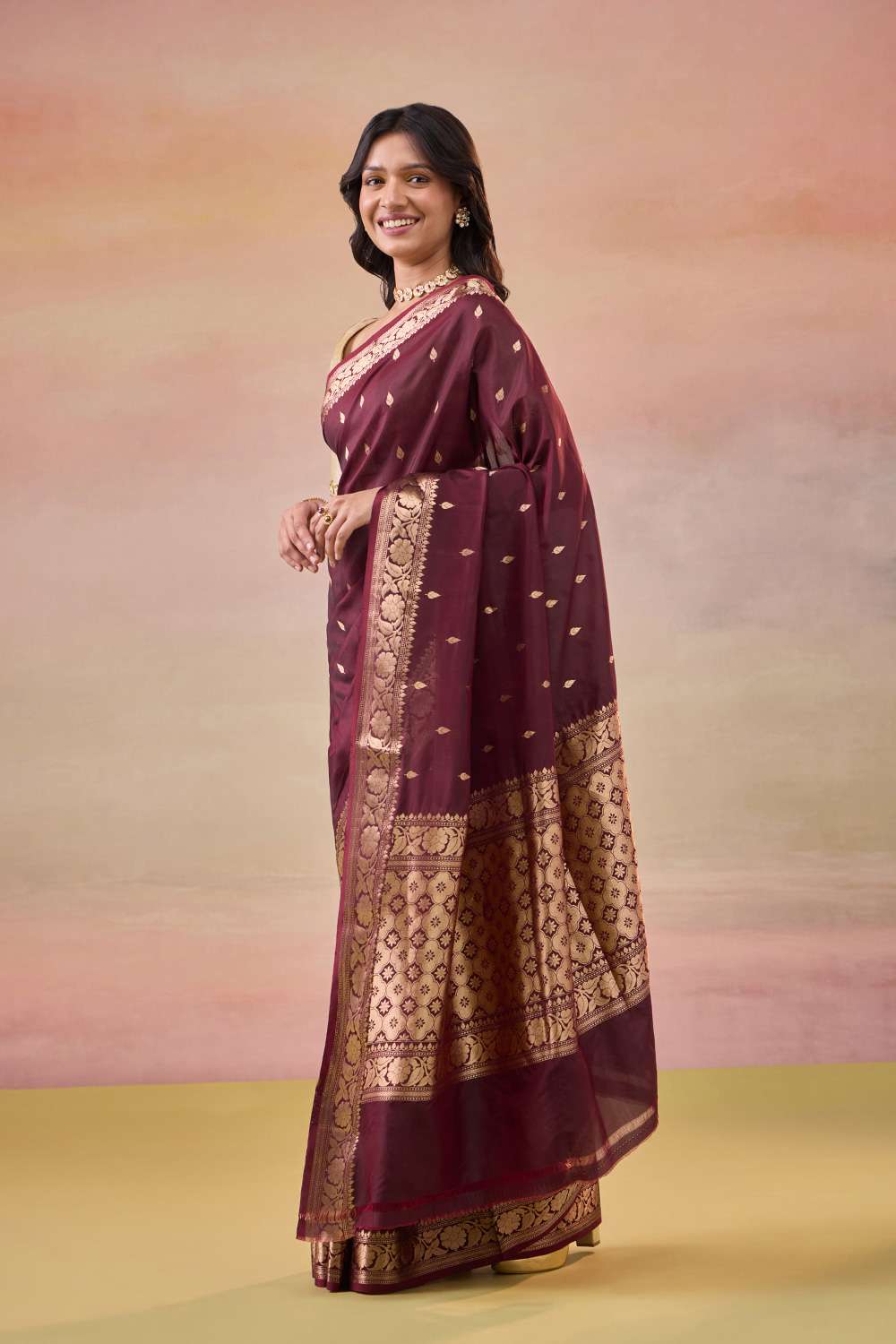 Dark Brown Cutwork Banaras Saree image number null