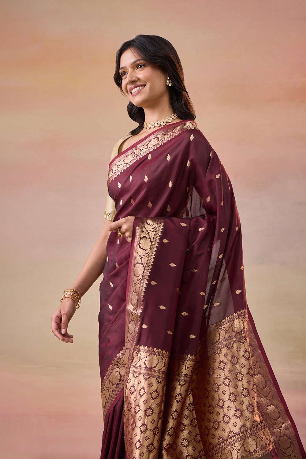 Dark Brown Cutwork Banaras Saree image number null