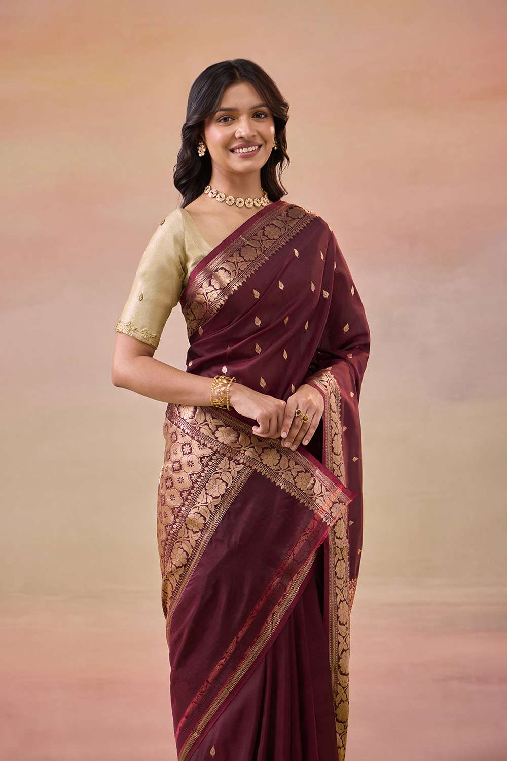 Dark Brown Cutwork Banaras Saree image number null