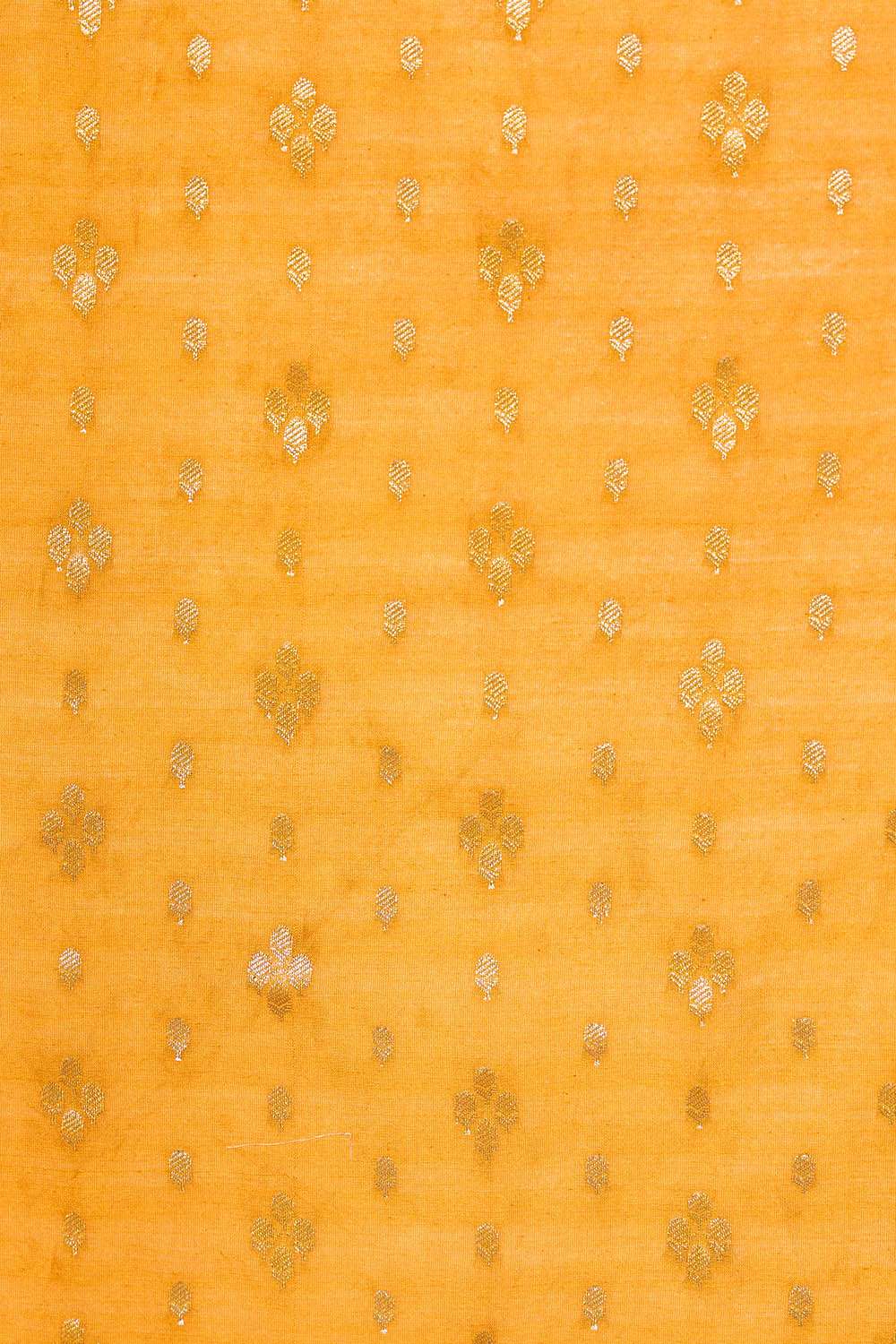 Off White Pure Silk Cotton Embroidered Saree image number null