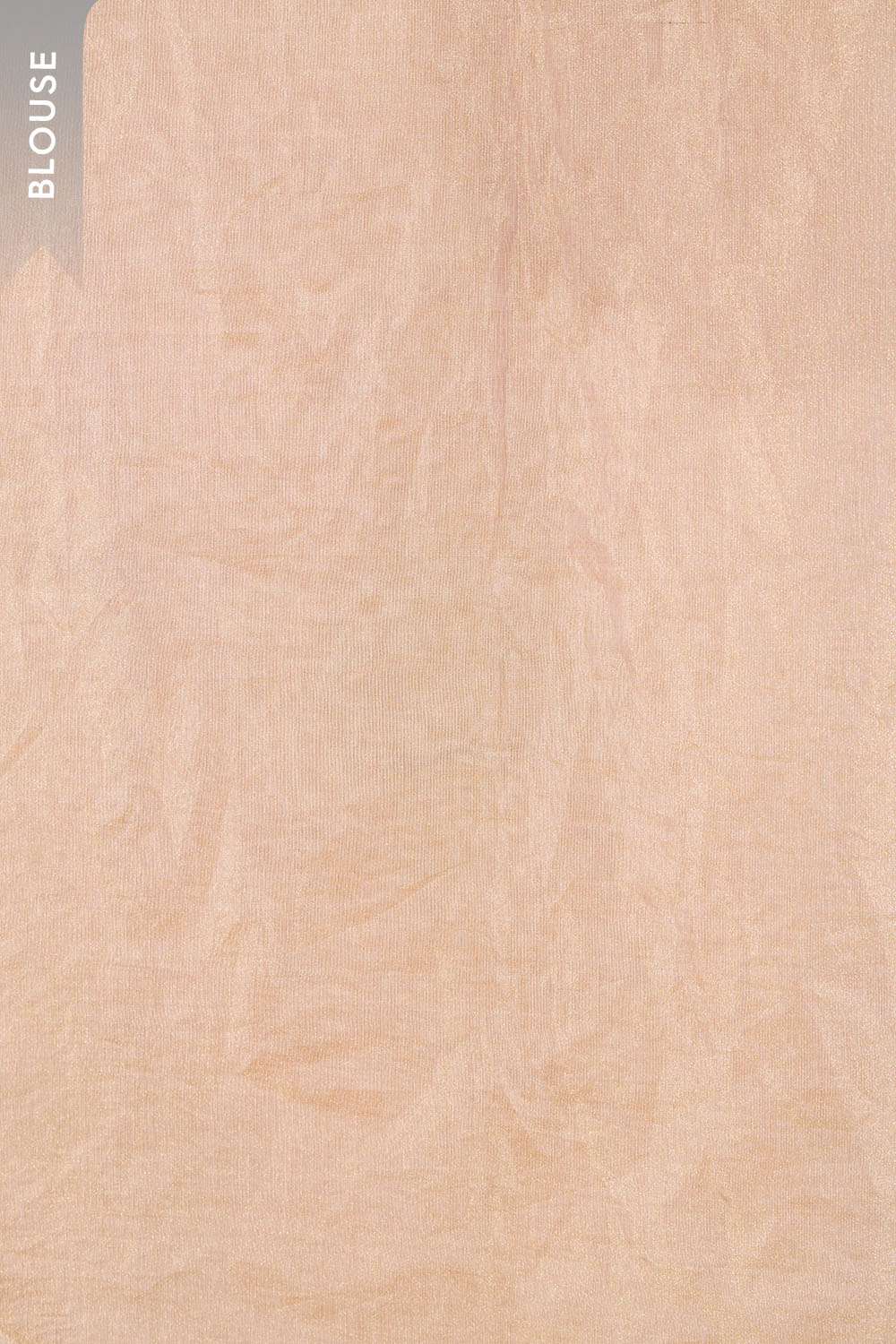 Off White Pure Cotton Tissue Embroidered Saree image number null