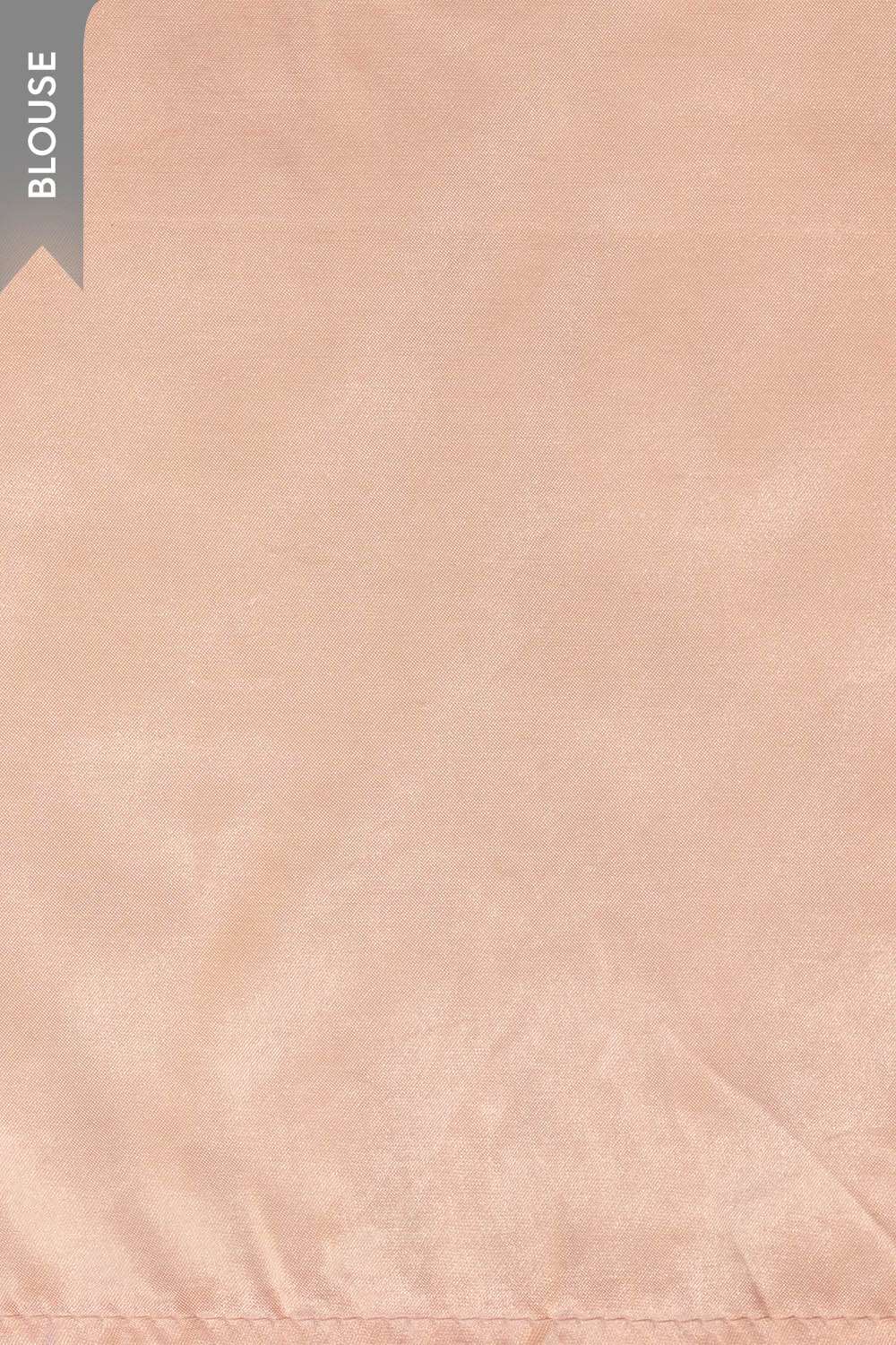 Light Pink Viscose Georgette Embroidered Saree image number null