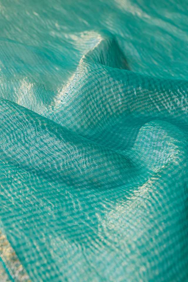 Light Green Pure Tissue Organza Woven Saree thumbnail image number null
