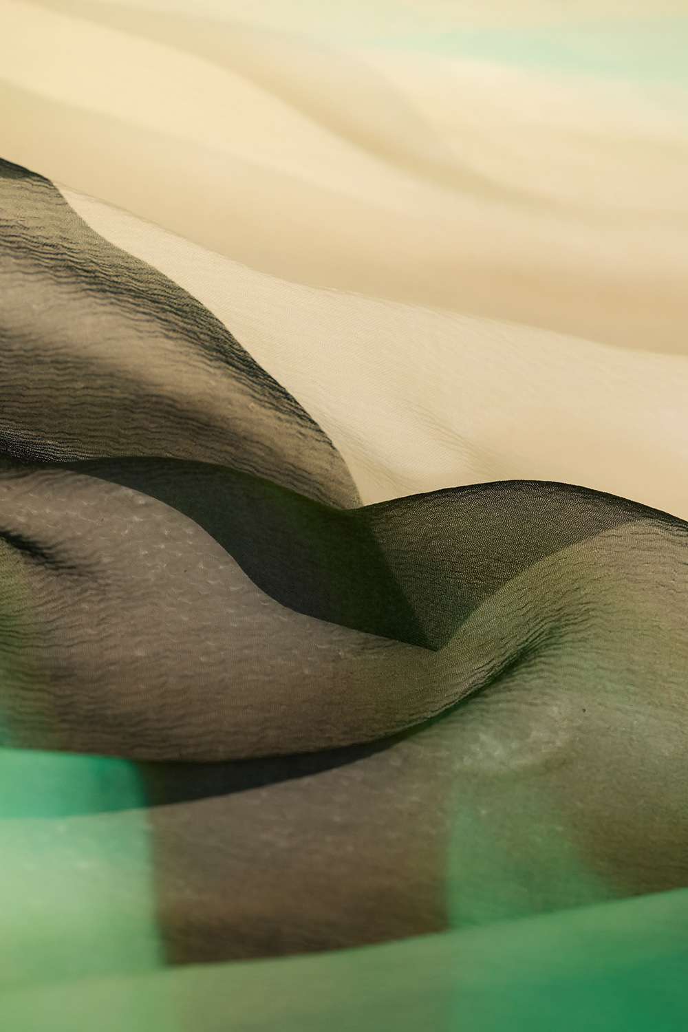 Green Printed Viscose Chiffon Saree image number null