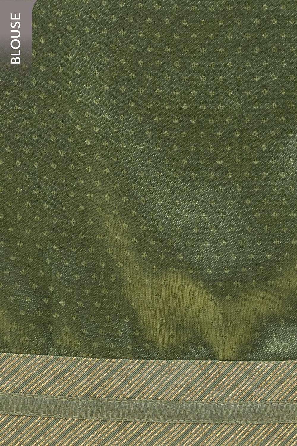Green Viscose Tissue Embroidered Saree image number null