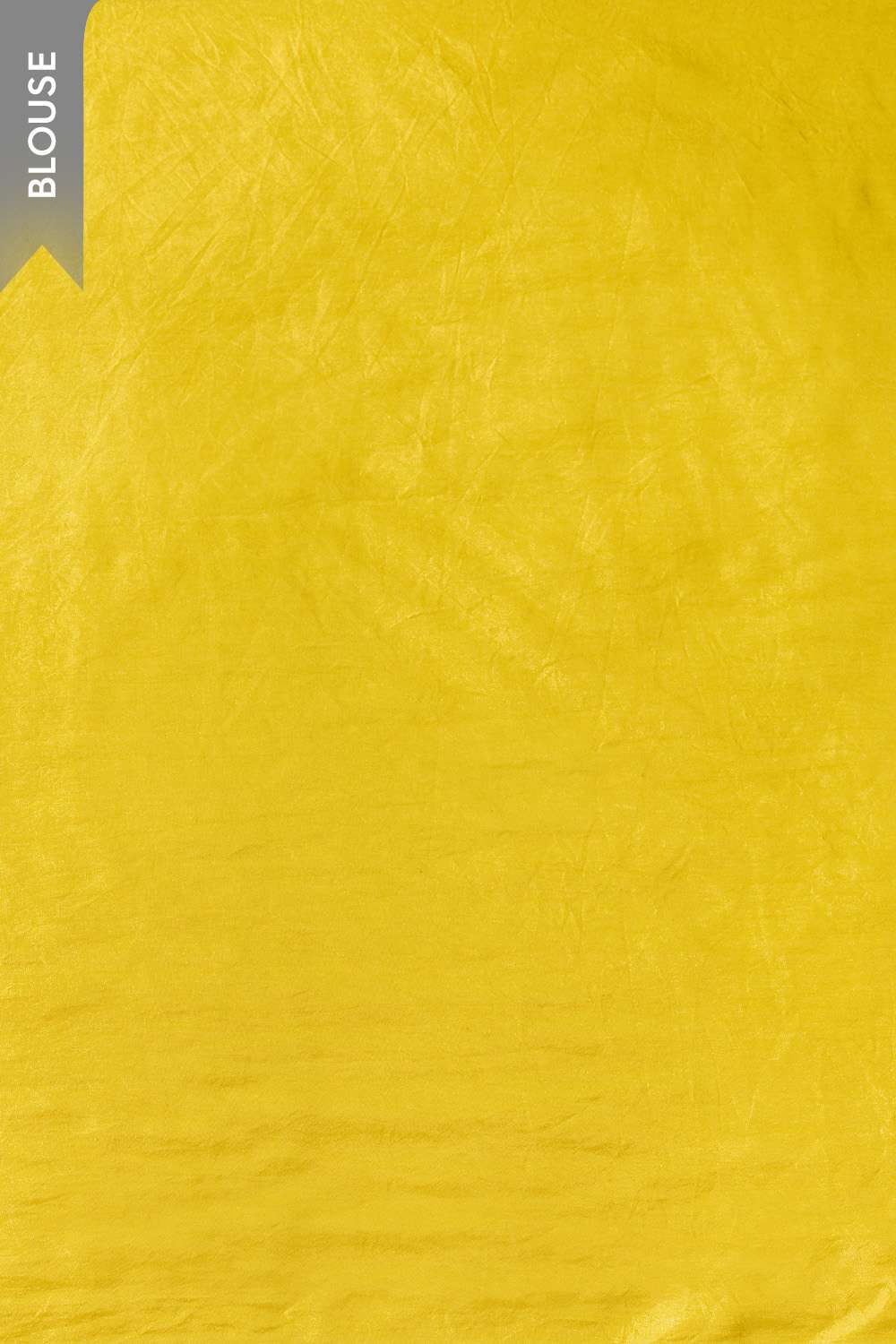 Light Green Screen Printed Viscose Organza Saree image number null