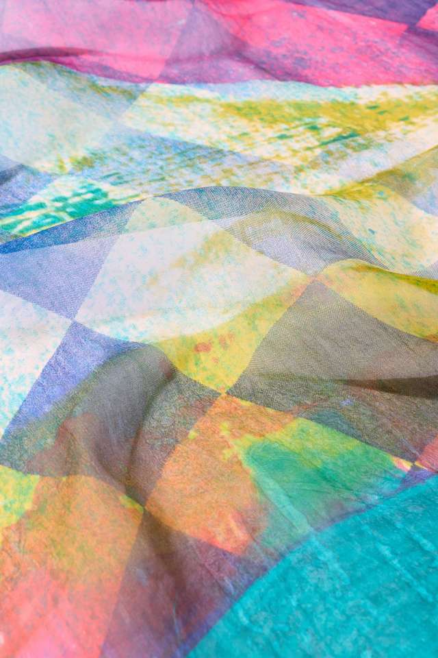 Light Blue  Printed Pure Silk Organza Saree thumbnail image number null