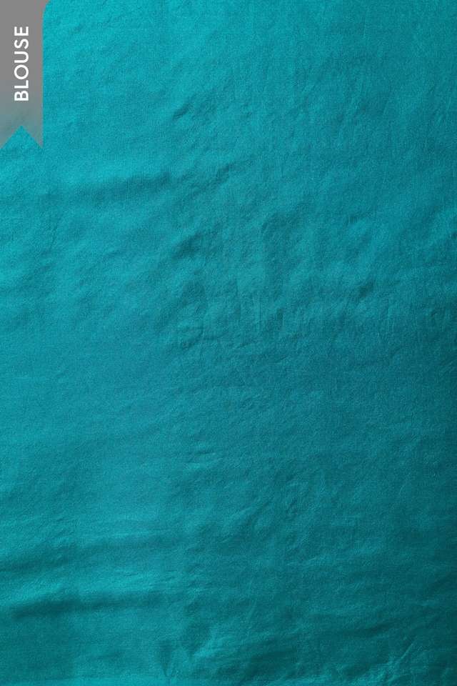 Light Blue  Printed Pure Silk Organza Saree thumbnail image number null