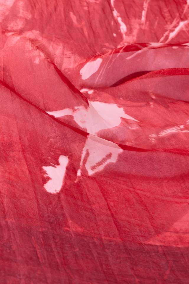 Pink  Printed Pure Silk Organza Saree thumbnail image number null