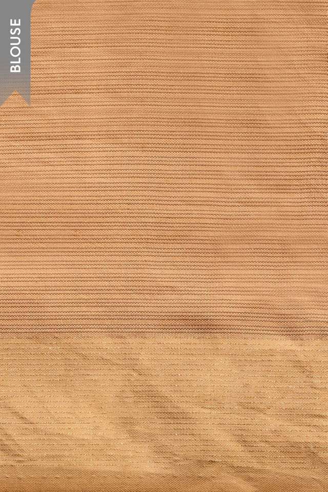 Brown Embroidered Silk Viscose Saree thumbnail image number null