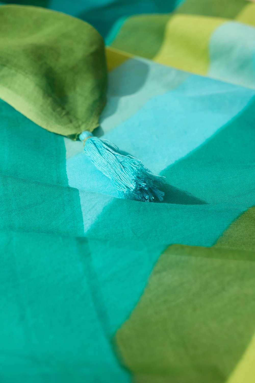 Blue Bengal Screen Printed Pure Cotton Mulmul Saree image number null