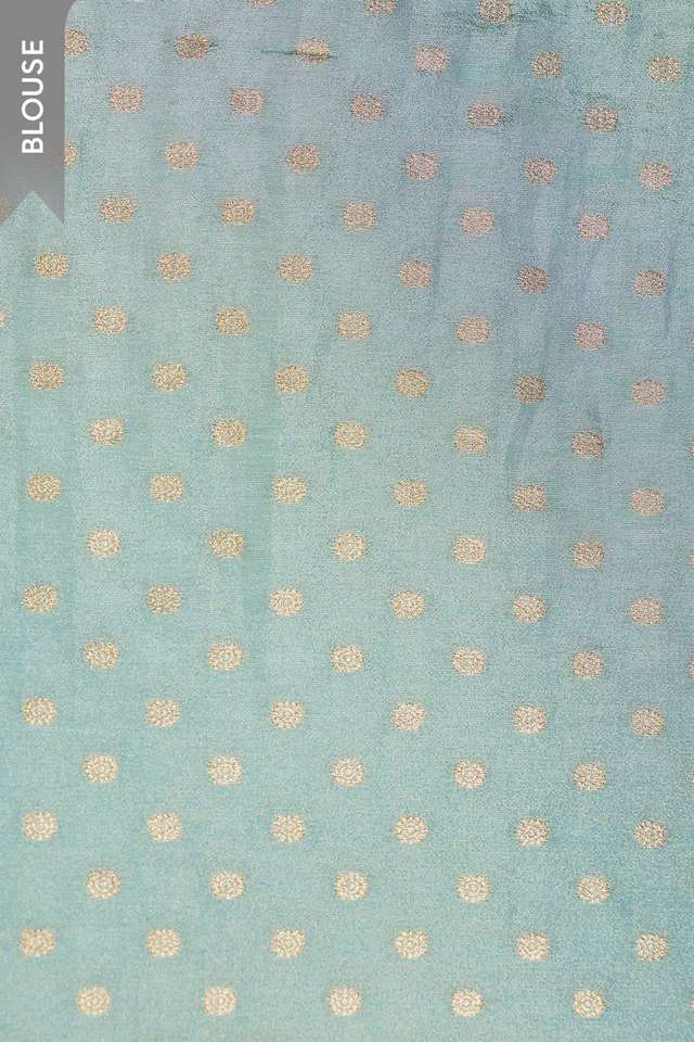 Light Blue   Viscose Tissue Embroidered Saree thumbnail image number null