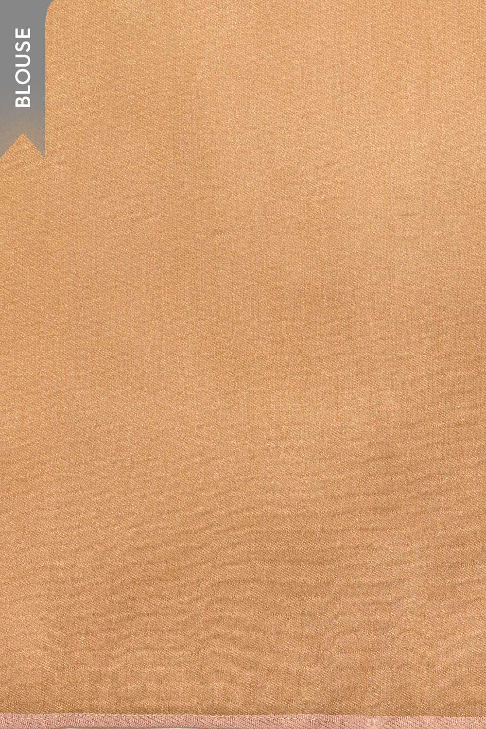 Light Pink Viscose Tissue Woven Saree image number null
