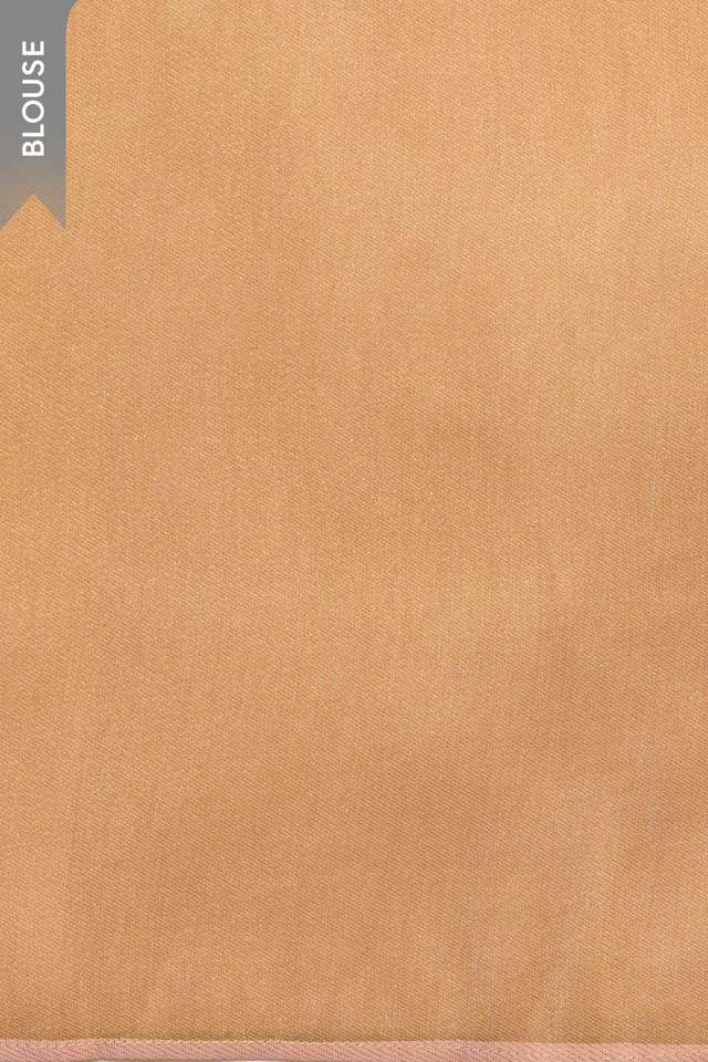 Light Pink Viscose Tissue Woven Saree thumbnail image number null