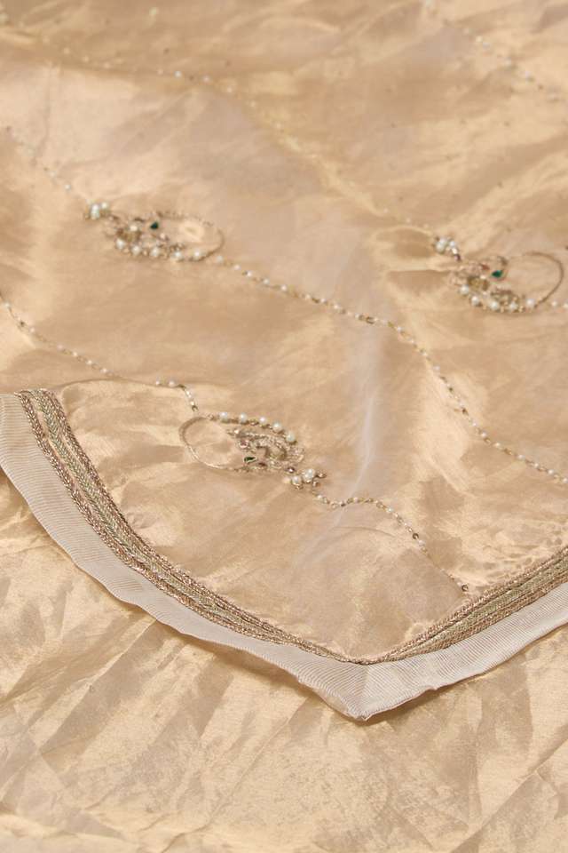 Beige Pure Tissue Organza Embroidered Saree thumbnail image number null