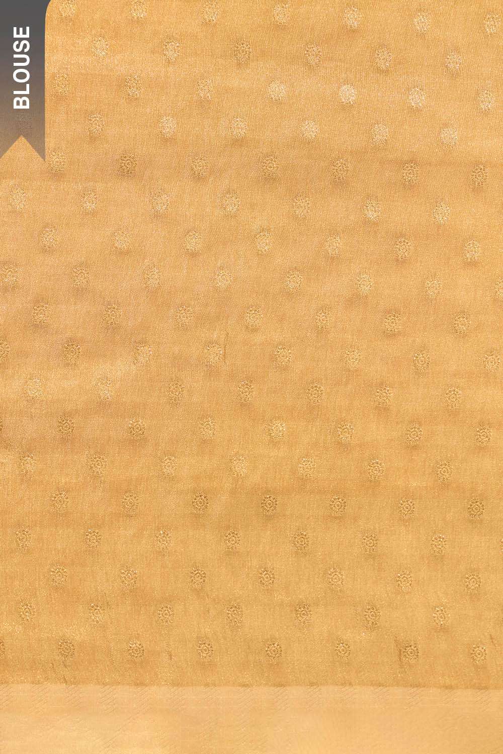 Beige Viscose Tissue Embroidered Saree image number null