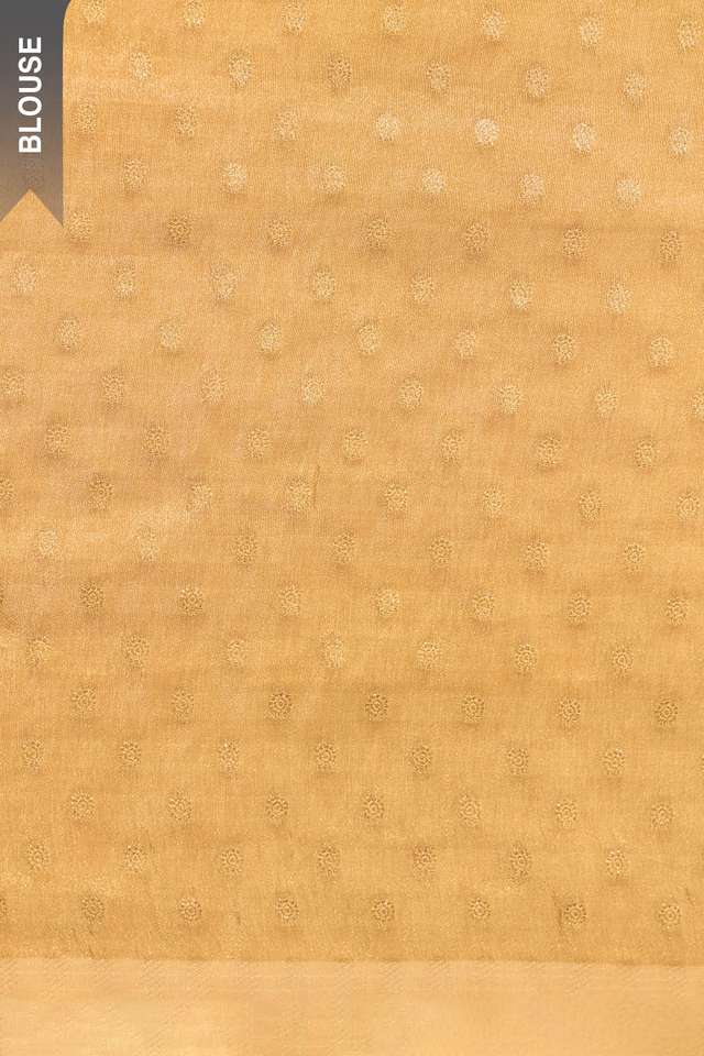 Beige Viscose Tissue Embroidered Saree thumbnail image number null
