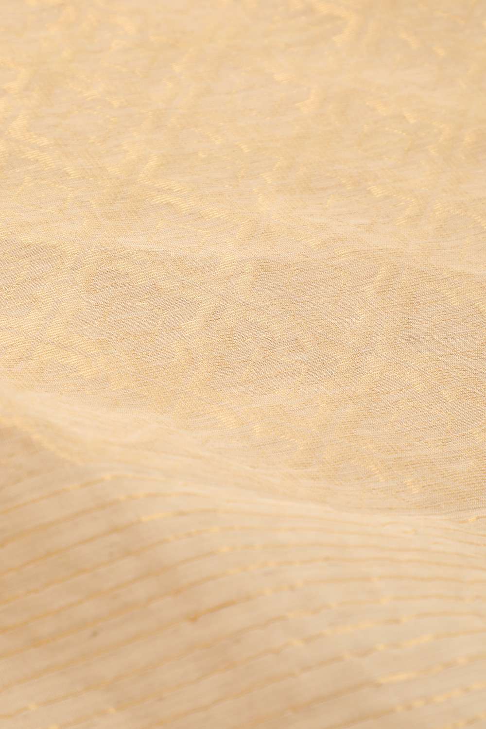 Beige Chattisgarh Pure Silk Tissue Woven Saree image number null