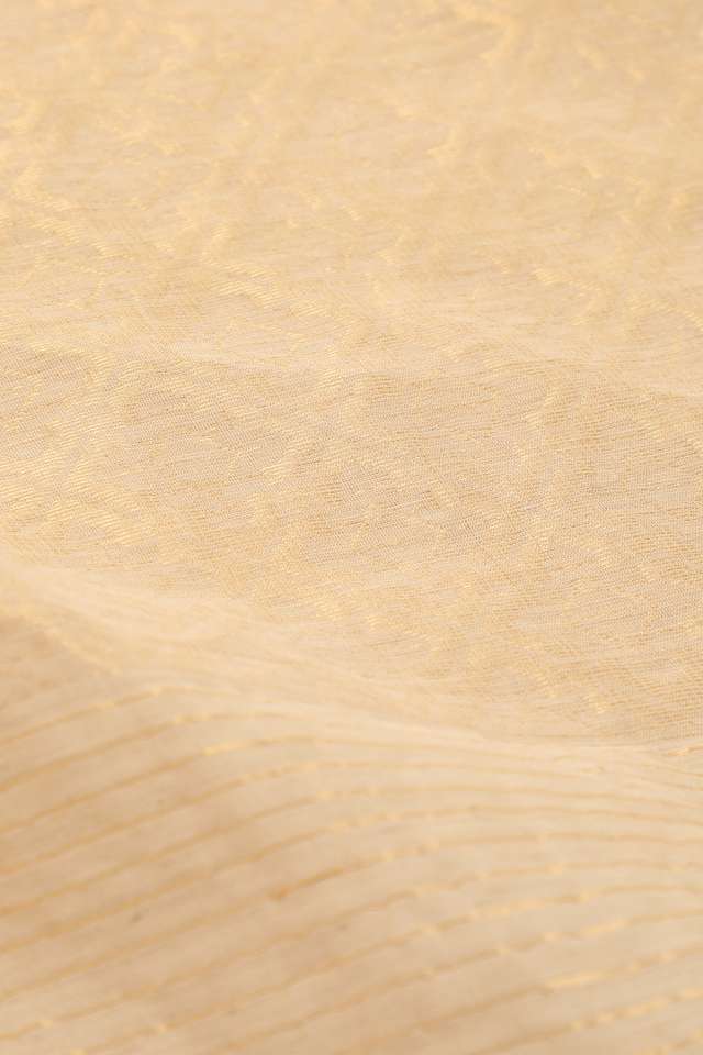 Beige Chattisgarh Pure Silk Tissue Woven Saree thumbnail image number null