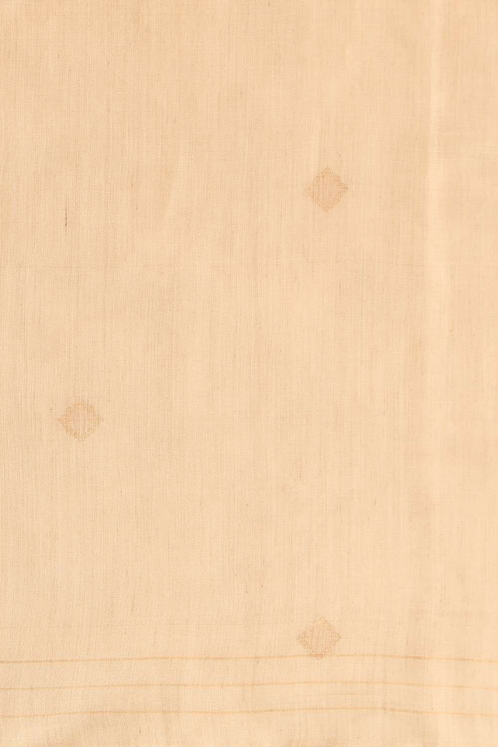 Beige Chattisgarh Pure Silk Tissue Woven Saree image number null
