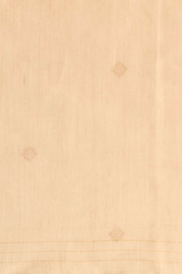 Beige Chattisgarh Pure Silk Tissue Woven Saree thumbnail image number null