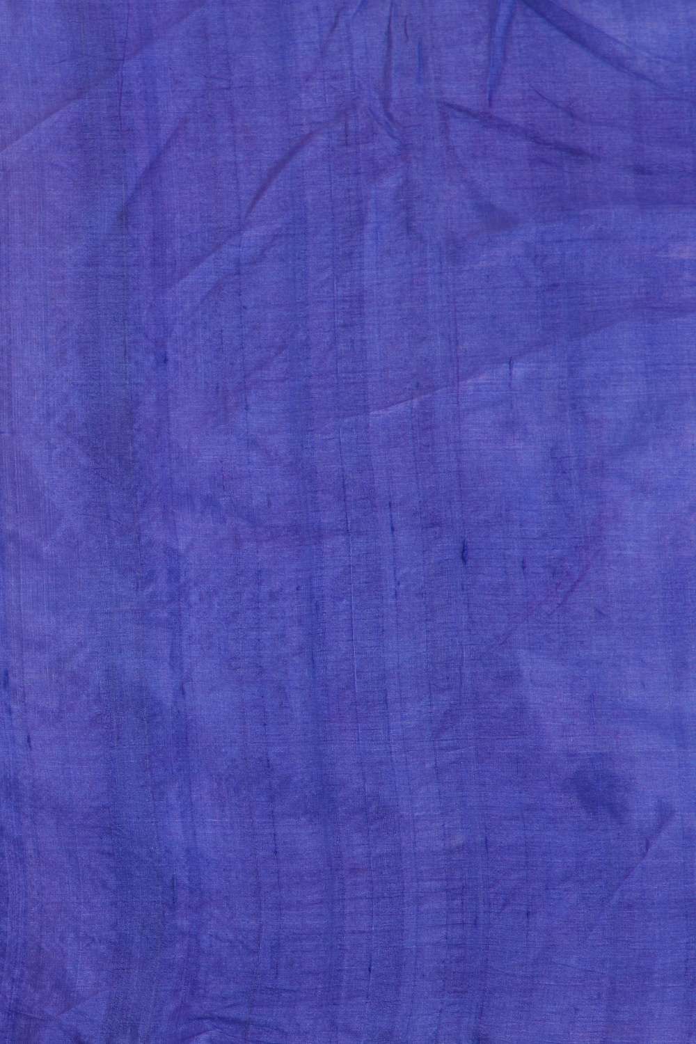 Blue Hand Painted Pure Tussar Silk Saree image number null
