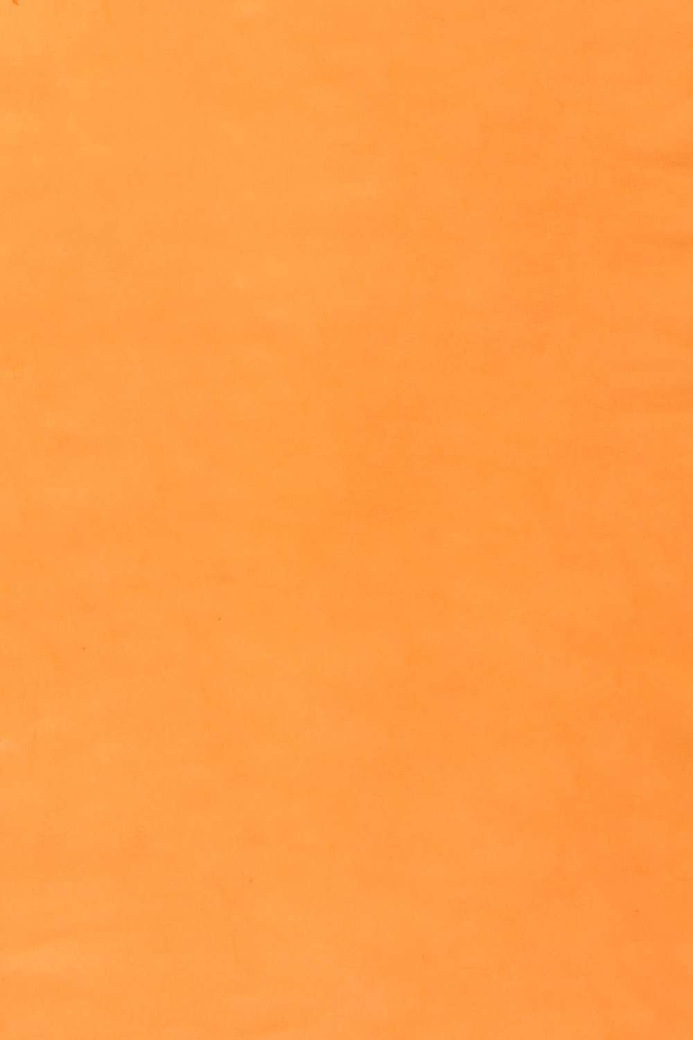 Light Orange Viscose Georgette Printed Saree image number null