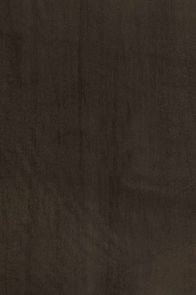 Black  Organza Viscose Embroidered Saree thumbnail image number null