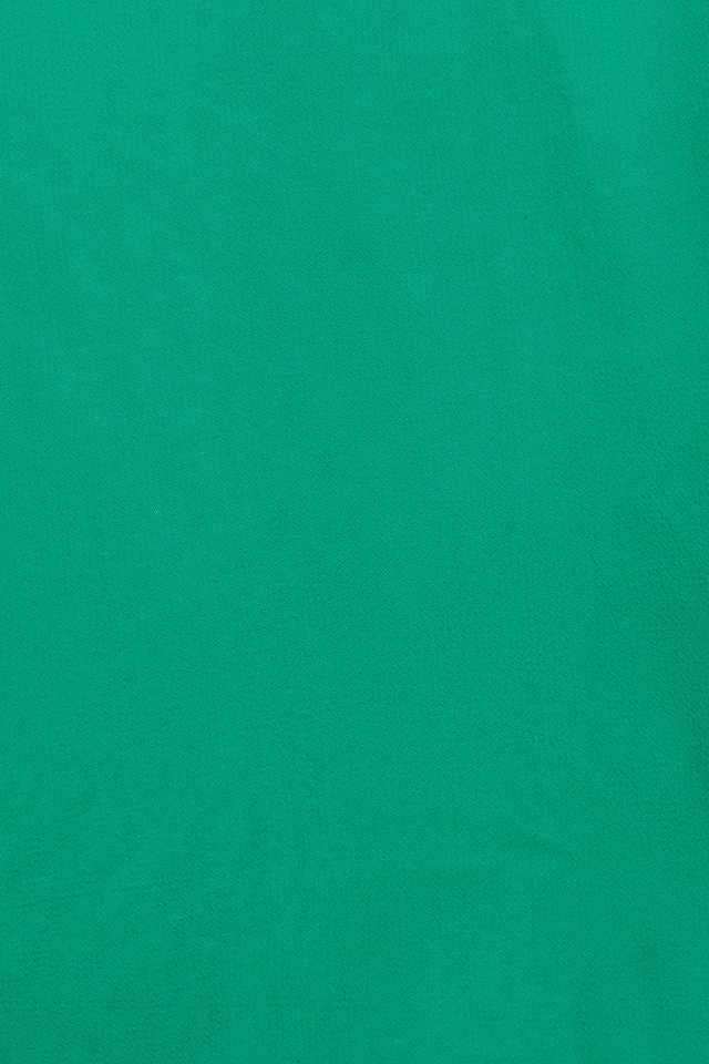 Light Green Viscose Georgette Printed Saree thumbnail image number null
