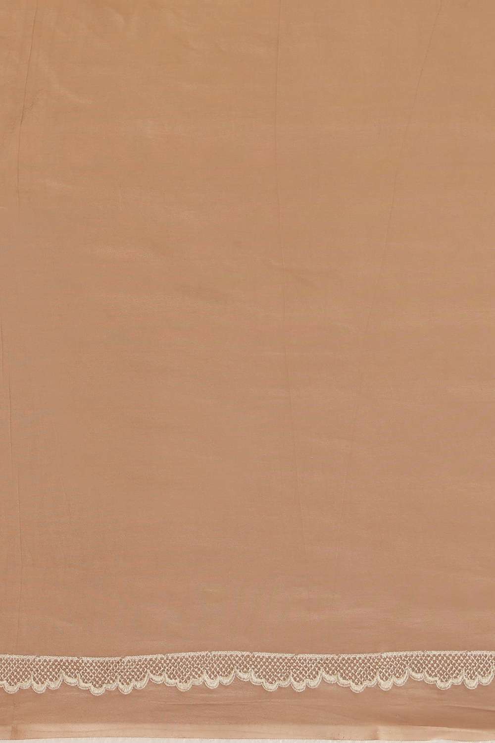 Dark Orange Pure Silk Tissue Embroidered Saree image number null