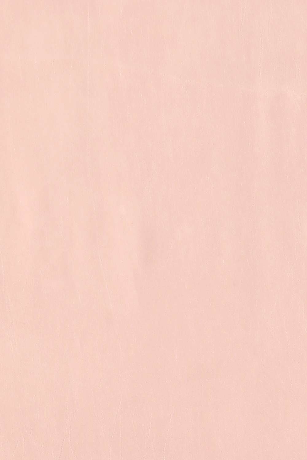 Light Pink Contemporary Viscose Organza Embroidery Saree image number null