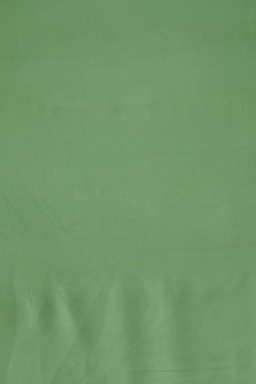 Light Green Pure Chiffon Embroidered Saree image number null