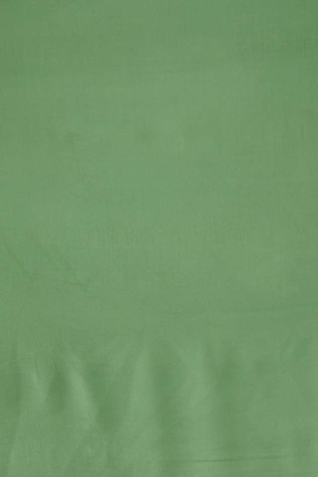 Light Green Pure Chiffon Embroidered Saree thumbnail image number null