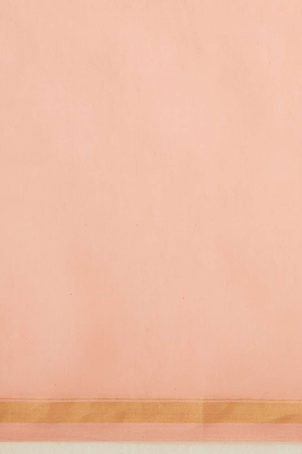 Light Pink Pure Silk Cotton Chikankari Saree image number null