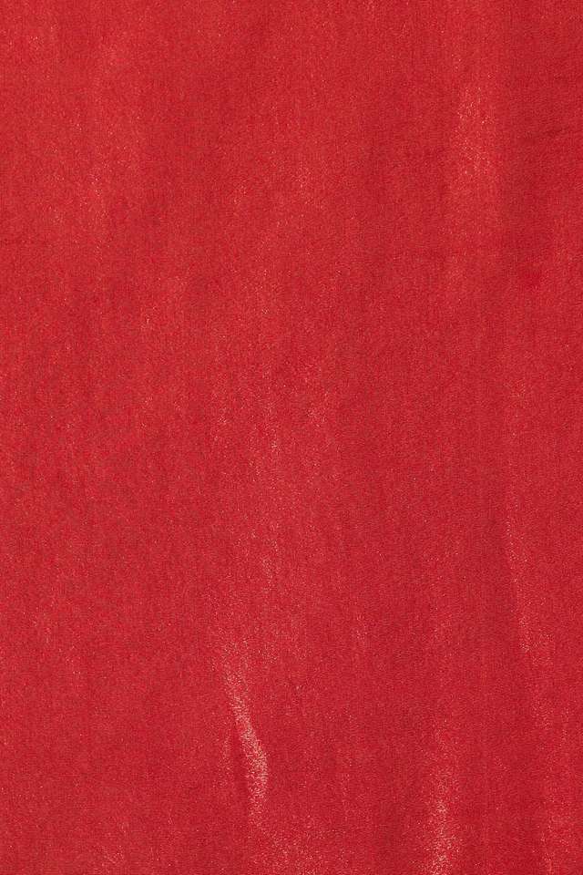 Red Pure Tissue Organza Embroidery Saree thumbnail image number null