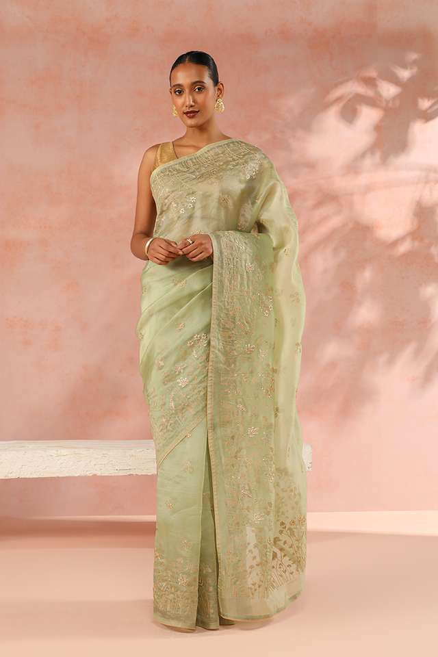 Pistachio Contemporary Pure Silk Organza Embroidery Saree thumbnail image number null